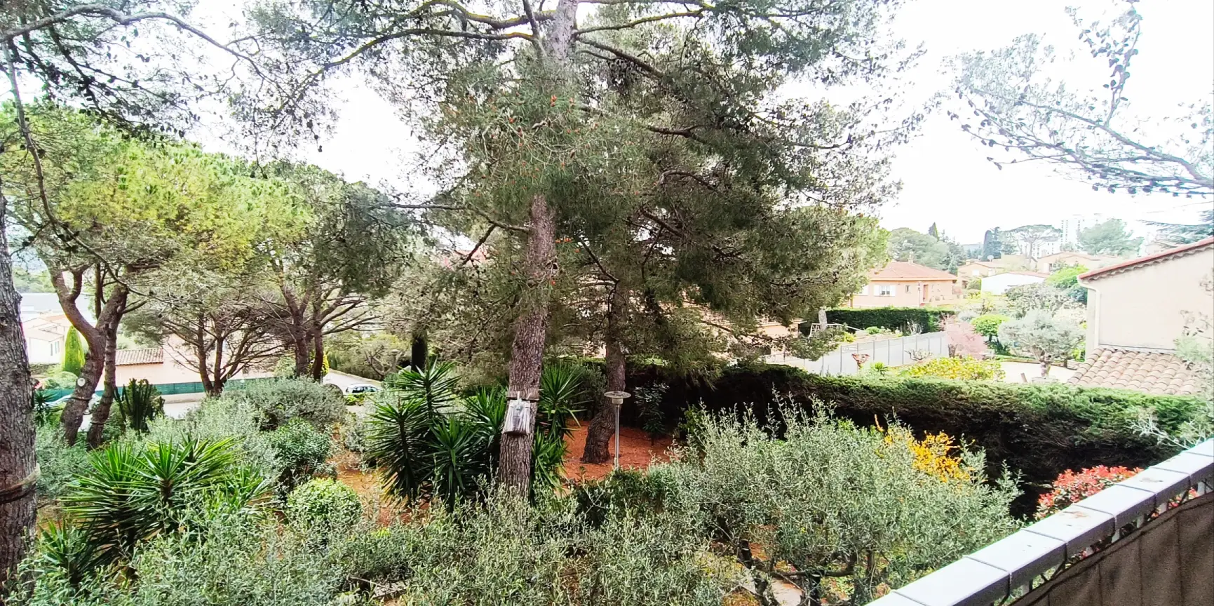 jardin appartement le Cannet