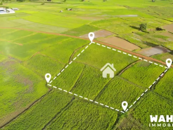 Quels sont les différents types de terrains