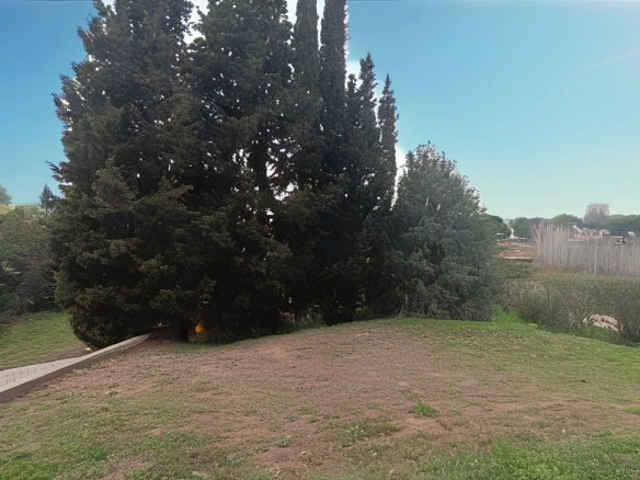 Terrain à batir Puget sur argens