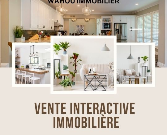 Vente interactive immobilière